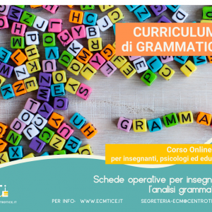 Curriculum di Grammatica