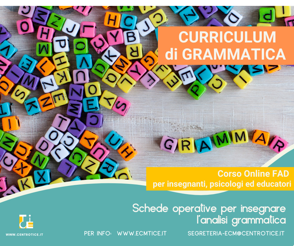 Scopri di più sull'articolo Curriculum di Grammatica